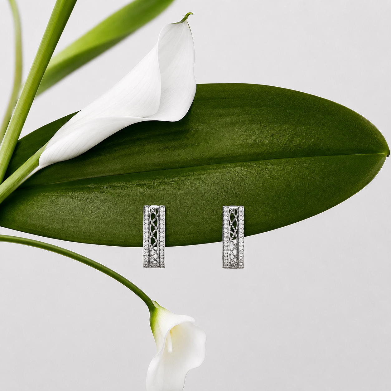 Aranya Hoop Earrings