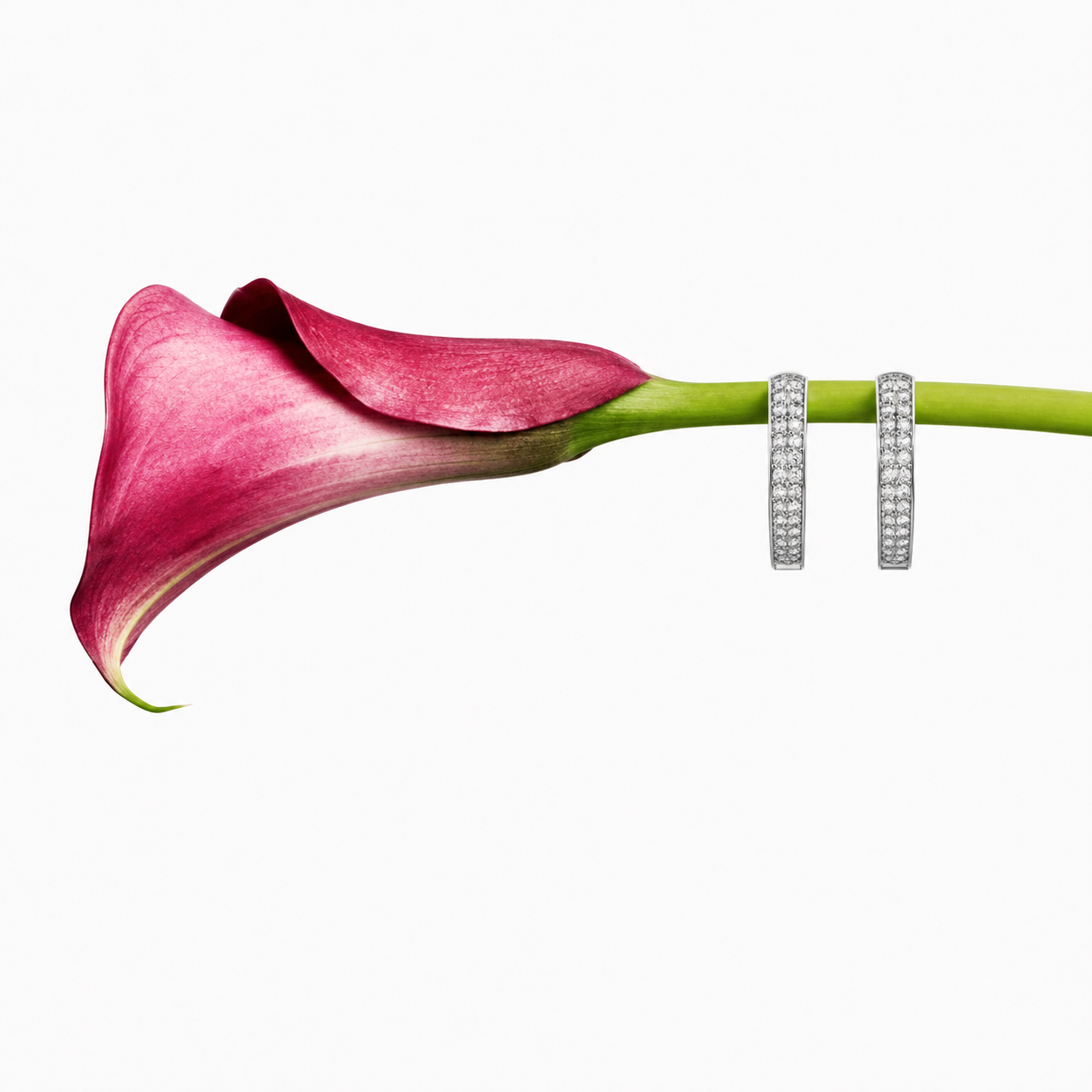 Elara Hoop Earrings